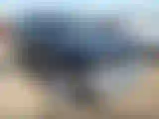 Vehicle Image- 2000 Toyota 4 Runner
