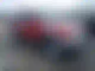 Vehicle Image- 2001 Toyota 4 Runner