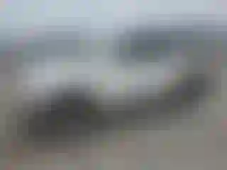 Vehicle Image- 2002 Toyota 4 Runner