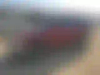 Vehicle Image- 2001 Toyota 4 Runner