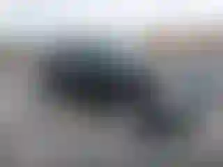 Vehicle Image- 2002 Toyota 4 Runner