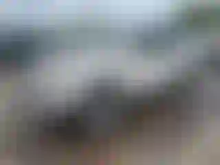 Vehicle Image- 2002 Toyota 4 Runner