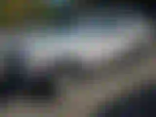 Vehicle Image- 1999 Toyota 4 Runner