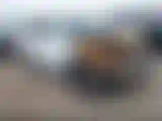Vehicle Image- 2001 Toyota 4 Runner