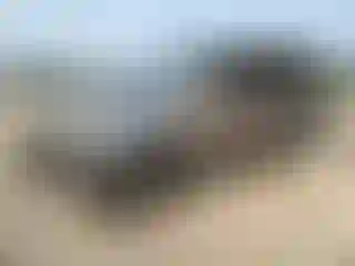 Vehicle Image- 2002 Toyota 4 Runner