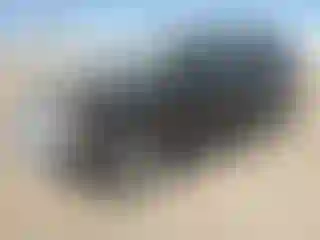 Vehicle Image- 2002 Toyota 4 Runner