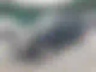 Vehicle Image- 2001 Toyota 4 Runner