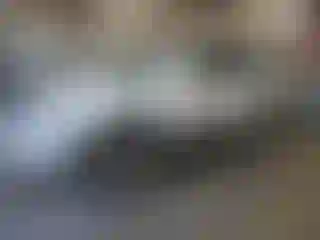 Vehicle Image- 2000 Toyota 4 Runner
