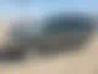 Vehicle Image- 2002 Toyota 4 Runner