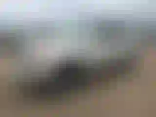 Vehicle Image- 2000 Toyota 4 Runner