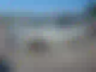 Vehicle Image- 2000 Toyota 4 Runner