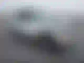 Vehicle Image- 1999 Toyota RAV4