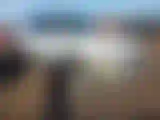 Vehicle Image- 1999 Toyota RAV4