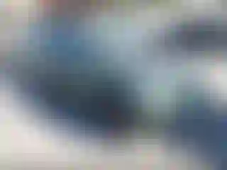 Vehicle Image- 2000 Toyota RAV4