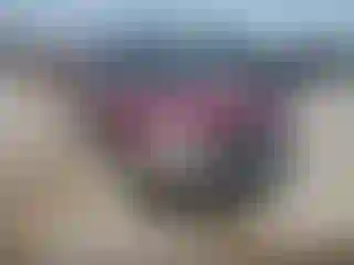 Vehicle Image- 2000 Toyota RAV4