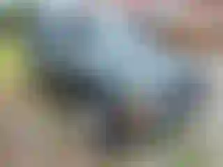 Vehicle Image- 2000 Toyota RAV4