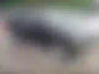 Vehicle Image- 1999 Toyota RAV4