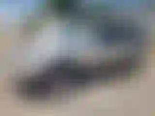 Vehicle Image- 2000 Toyota 4 Runner