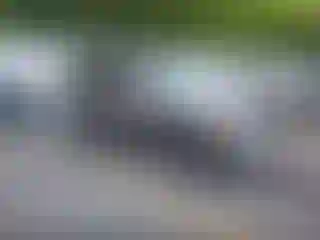Vehicle Image- 2002 Toyota 4 Runner