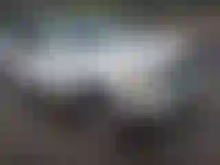 Vehicle Image- 1999 Toyota 4 Runner