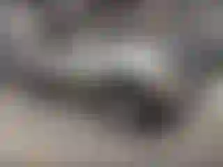 Vehicle Image- 2001 Toyota 4 Runner