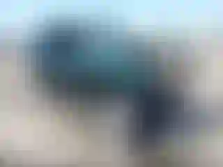 Vehicle Image- 2001 Toyota 4 Runner