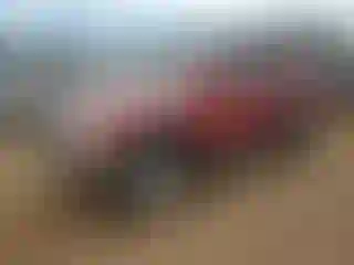 Vehicle Image- 1998 Toyota 4 Runner