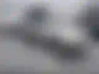 Vehicle Image- 2001 Toyota 4 Runner