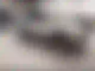 Vehicle Image- 1997 Toyota 4 Runner