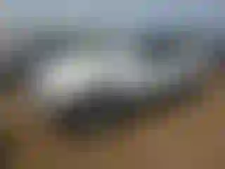 Vehicle Image- 2001 Toyota 4 Runner