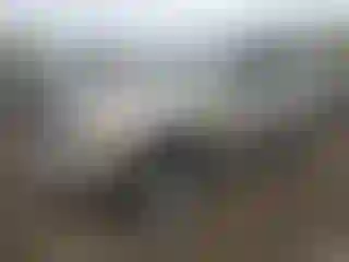 Vehicle Image- 2002 Toyota 4 Runner
