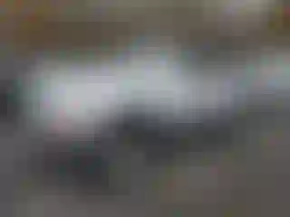 Vehicle Image- 1997 Toyota 4 Runner