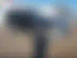 Vehicle Image- 1999 Toyota 4 Runner