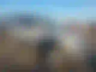 Vehicle Image- 2000 Toyota 4 Runner