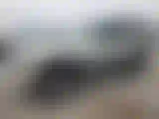 Vehicle Image- 2000 Toyota 4 Runner