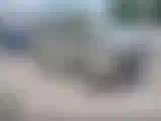 Vehicle Image- 1999 Toyota RAV4