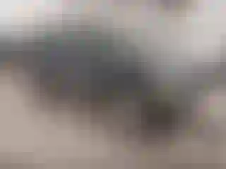 Vehicle Image- 1999 Toyota RAV4