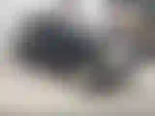 Vehicle Image- 2000 Toyota Land Cruiser