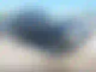Vehicle Image- 1995 Toyota 4 Runner