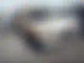 Vehicle Image- 1994 Toyota T100