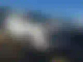 Vehicle Image- 2000 Lexus RX