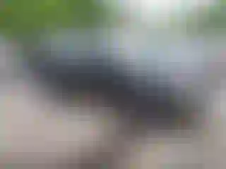 Vehicle Image- 2000 Lexus RX