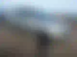 Vehicle Image- 2000 Lexus RX