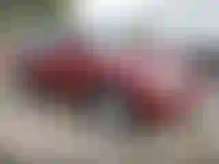 Vehicle Image- 2000 Lexus RX