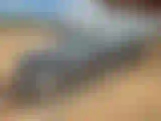 Vehicle Image- 2000 Lexus ES