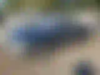 Vehicle Image- 1995 Lexus ES