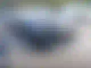 Vehicle Image- 2024 Toyota Prius