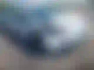 Vehicle Image- 2024 Toyota Prius