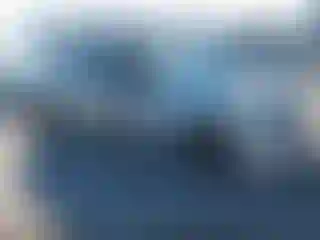 Vehicle Image- 2024 Toyota Prius