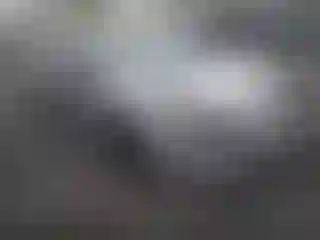 Vehicle Image- 2024 Toyota Prius